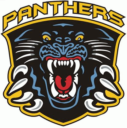 Nottingham Panthers 2003-Pres Primary Logo iron on heat transfer